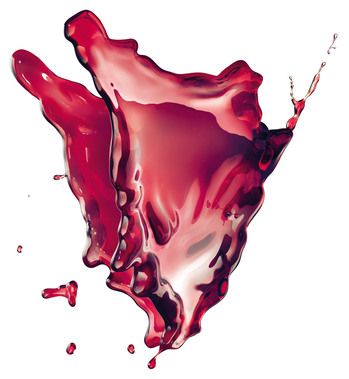 Tuscany Taste Logo.jpg